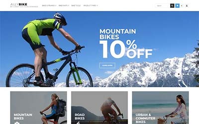 Download AllyBike - Cycling Supplies Store Responsive Magento Theme